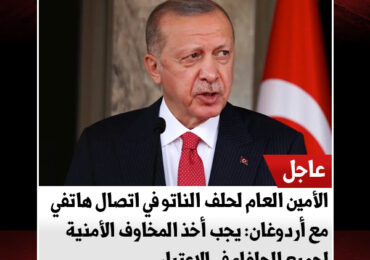 الأمين العام لحلف الناتو في اتصال هاتفي مع أردوغان: يجب أخذ المخاوف الأمنية لجميع الحلفاء في الاعتبار