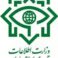 الاستخبارات الإيرانية تعتقل 28 شخصا بتهمة “التخطيط لتفجيرات متزامنة في طهران”